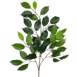 Ficus Leaf Spray - 67cm / Green