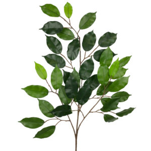 Ficus Leaf Spray - 67cm / Green