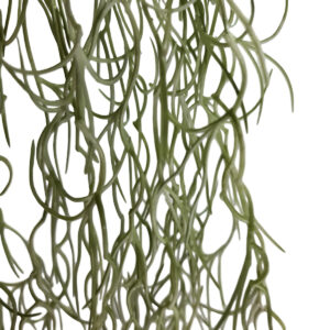 Fine Hanging Spanish Moss - 100cmL -1