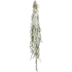 Fine Hanging Spanish Moss - 100cmL