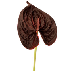Real Touch Anthurium - 67cmL / Burgundy