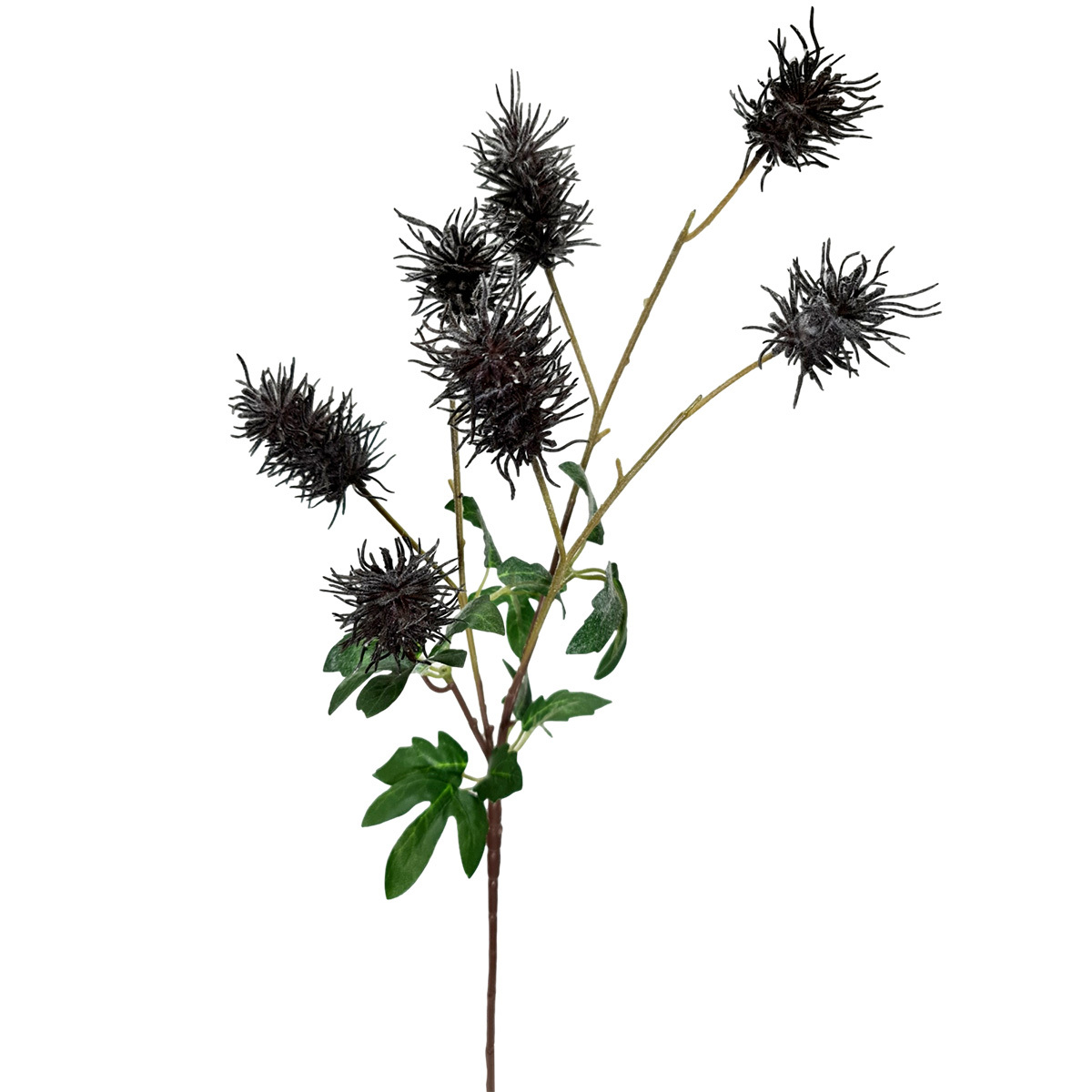 Frosted Sea Urchin Spray - 70cmL / Black
