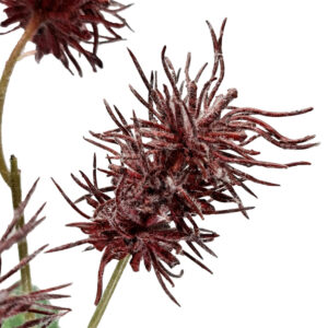 Frosted Sea Urchin Spray - 70cmL / Burgundy -1