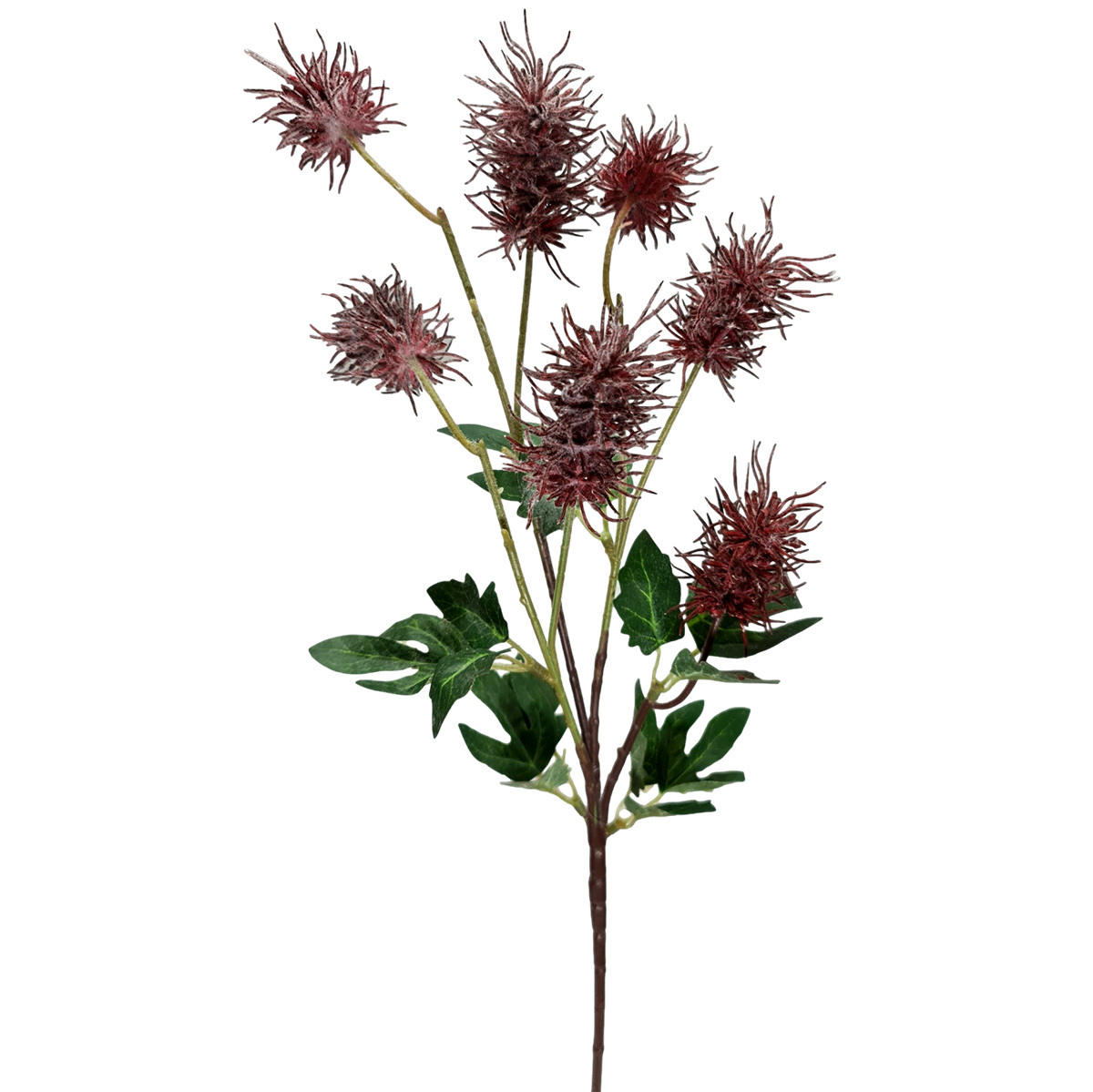 Frosted Sea Urchin Spray - 70cmL / Burgundy