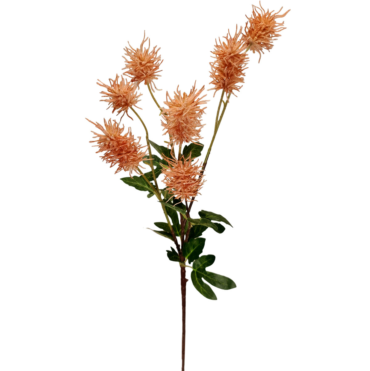 Frosted Sea Urchin Spray - 70cmL / Peach
