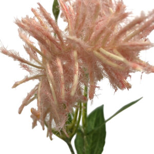 Meadow Rue Spray - 57cmL / Light Pink -1