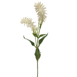Meadow Rue Spray - 57cmL / White