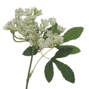 Queen Anne Lace Spray - 70cmL / White -1