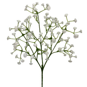 Premium Gypsophlia Spray - 50cm (Baby's Breath)