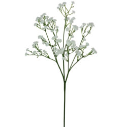 Gypsophila Spray (Baby's Breath) - 54cm / White
