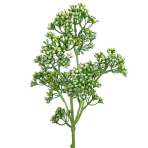 Rhus Berry Spray - 40cmL / Lt Green