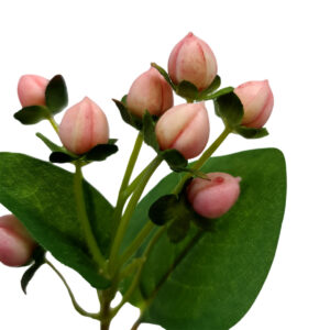 Perri Berry Spray - 67cmL / Pink -1