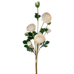 Artificial Ranunculus Bundle - 60cmL / White