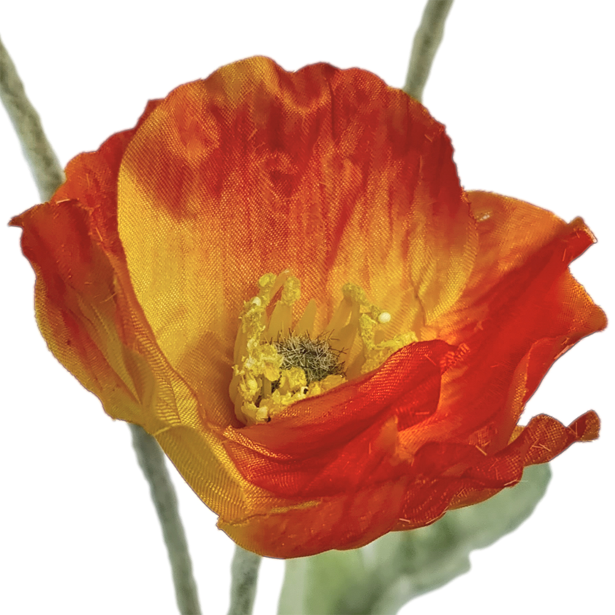 Field Poppy Spray - 56cmL / Orange - Image 2
