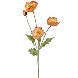 Field Poppy Spray - 56cmL / Peach