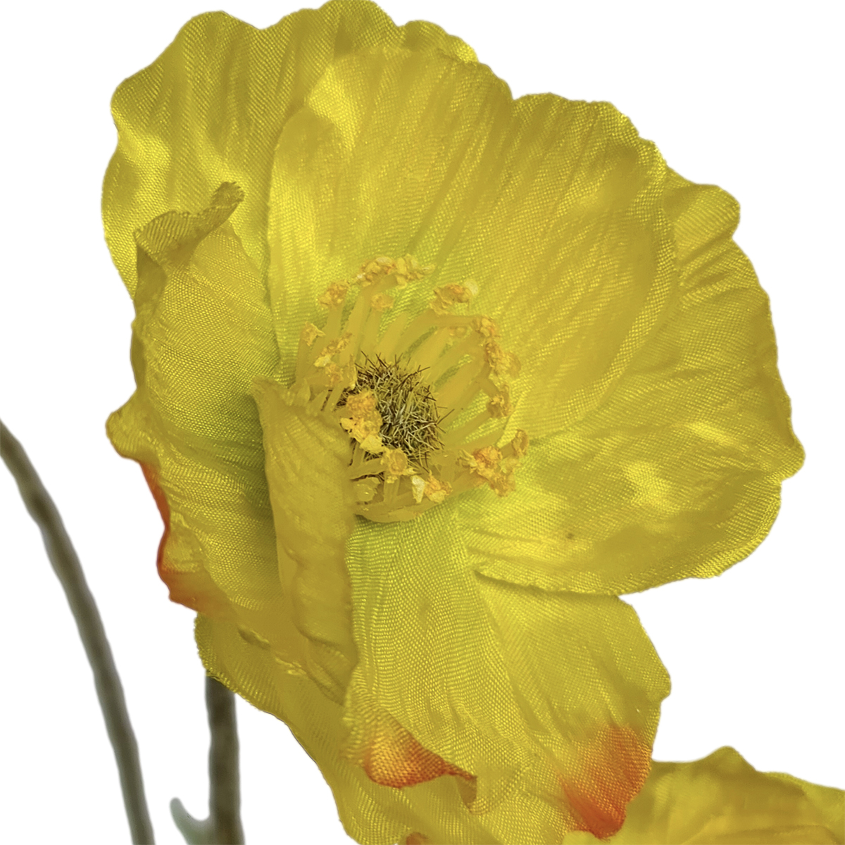 Field Poppy Spray - 56cmL / Yellow - Image 2