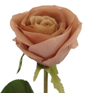 Romance Rose - 65cmL / Nude -1