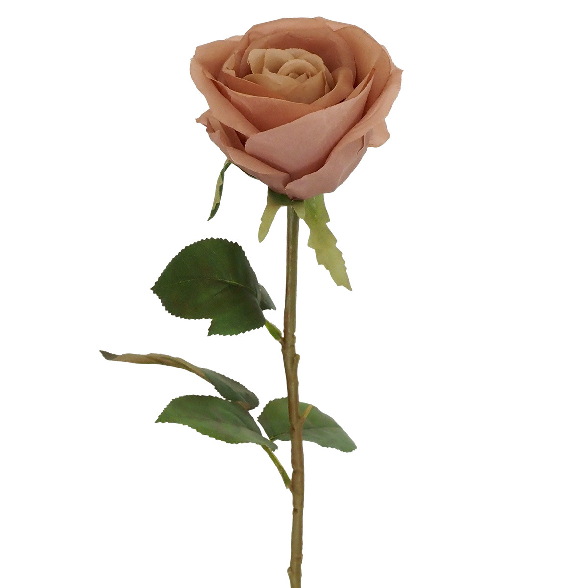 Romance Rose - 65cmL / Nude