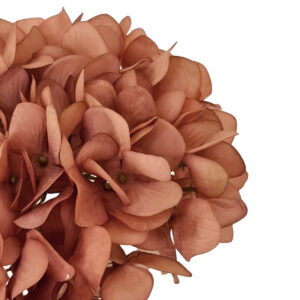 Romance Artificial Hydrangea - 65cmL / Dusty Pink -1
