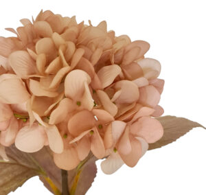 Romance Artificial Hydrangea - 65cmL / Nude -1