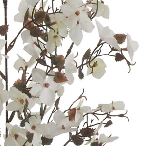 Joni Flower Spray - 85cmL / Ivory/White -1