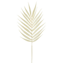 Dried Look Palm Leaf - 95cmL / White