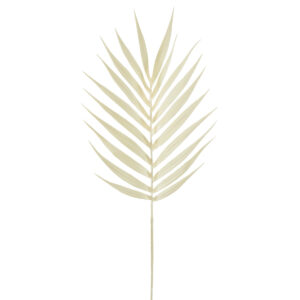 Dried Look Palm Leaf - 95cmL / White