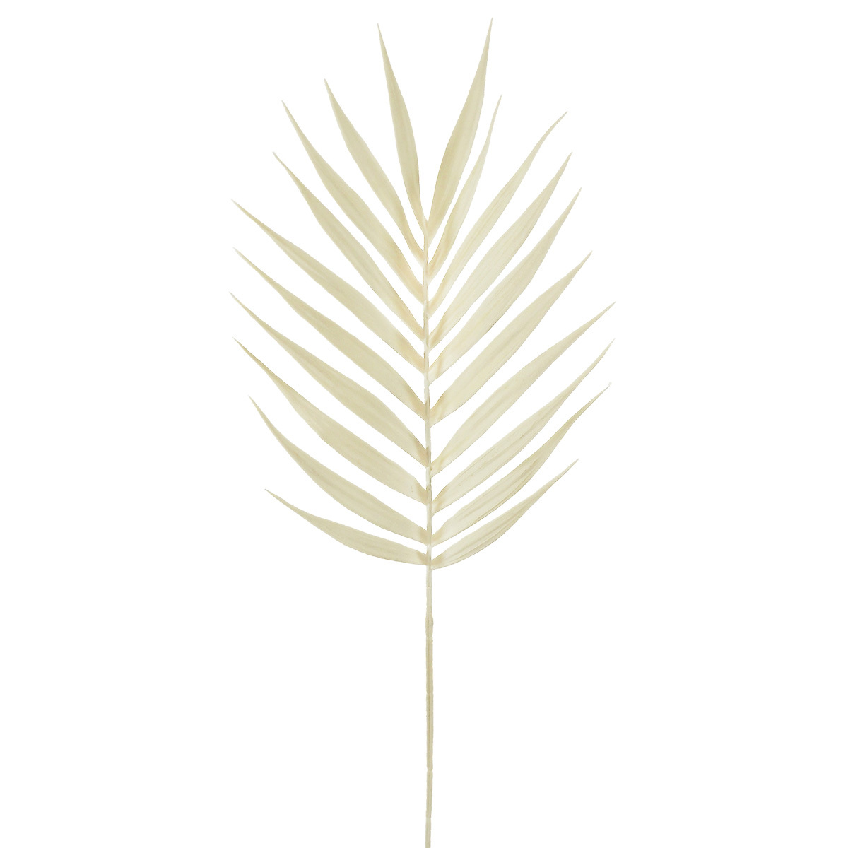 Dried Look Palm Leaf - 95cmL / White