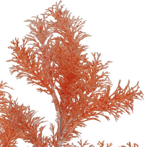 Sea Grass Spray - 66cmL / Coral (labelled Pink) -1