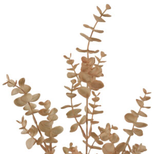 Dried Look Premium Eucalyptus Spray - 75cmL / Blush -1