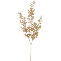 Dried Look Premium Eucalyptus Spray - 75cmL / Blush