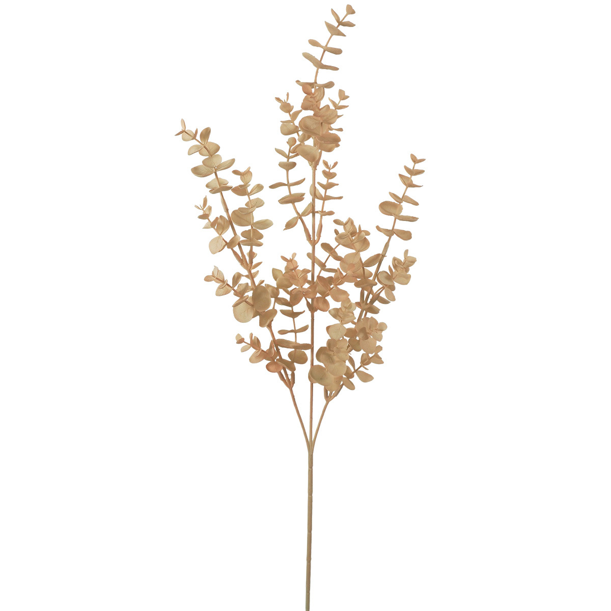 Dried Look Premium Eucalyptus Spray - 75cmL / Blush