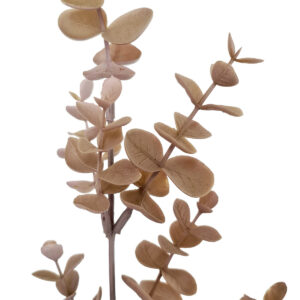 Dried Look Premium Eucalyptus Spray - 75cmL / Dusty Brown -1