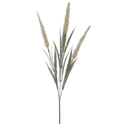 Dried Look Foxtail Spray - 60cmL / Cream