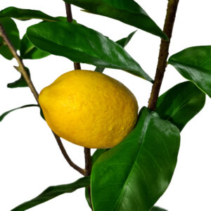 Artificial Lemon Branch - 100cmL -1