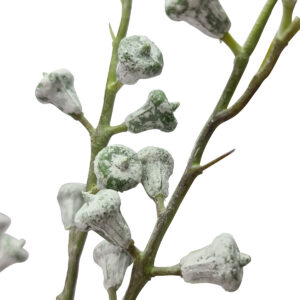 Gum Nut Spray - 90cmL / White Wash finish -1