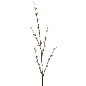 Pussy Willow Branch - 115cmL -1