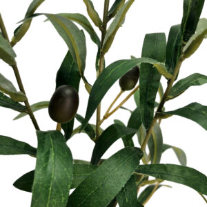 Olive Branch - 78cmL -1