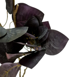 Smoke Bush Leaf Spray - 90cmL / Purple/Brown -1