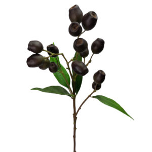 Gumnut Pod Spray- 70cmL / Dark Brown