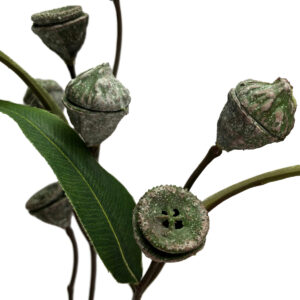 Eucalyptus Pod Spray 70cm -1