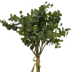 Mini Eucalyptus Bundle x 6 - 34cmL / Green