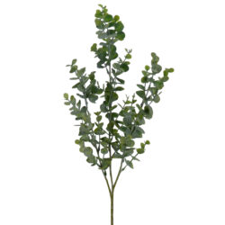 Mini Eucalyptus Leaf Spray - 65cmL / Green -1