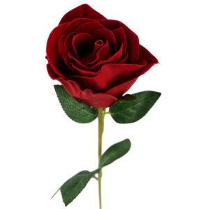 Velvet Rose Bud - 62cm / Red -1