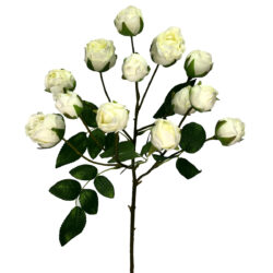 Mini Rose Spray x 3 - 65cm / White -1