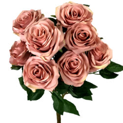 Elizabeth Rose Bush x 10 - 45cm / Musk -1