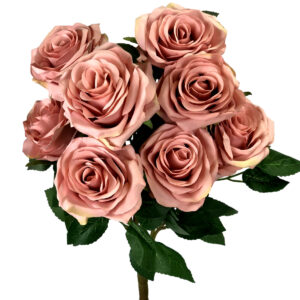 Elizabeth Rose Bush x 10 - 45cm / Musk -1
