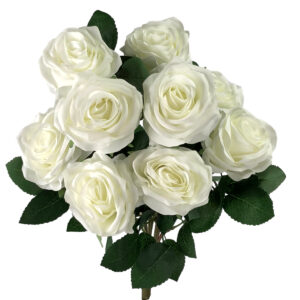 Elizabeth Rose Bush x 10 - 45cm / White -1