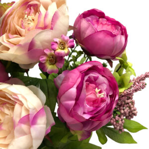 Cabbage Rose Bush - 50cm / Pink -1