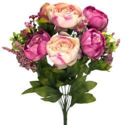 Cabbage Rose Bush - 50cm / Pink -1